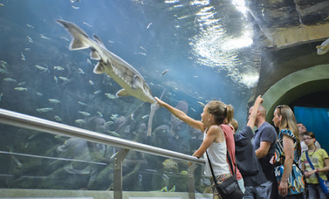 Tisza-tavi Ökocentrum