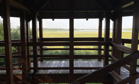 Tisza-tavi vízi sétány és tanösvény